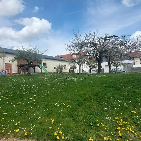 Helene Im Schoenen Odw Daire *