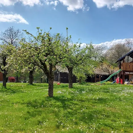 Helene Im Schoenen Odw Daire