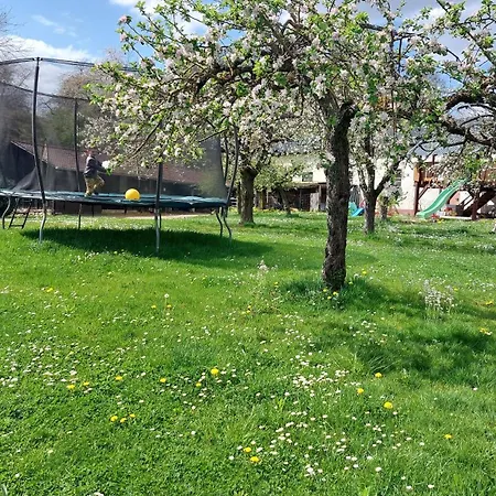 Daire Helene Im Schoenen Odw *