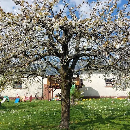 Daire Helene Im Schoenen Odw