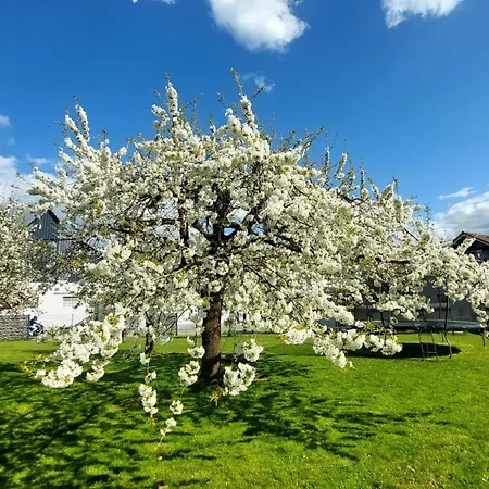 Helene Im Schoenen Odw *
