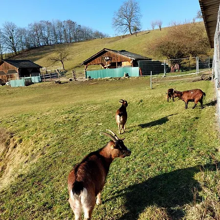 Helene Im Schoenen Odw *