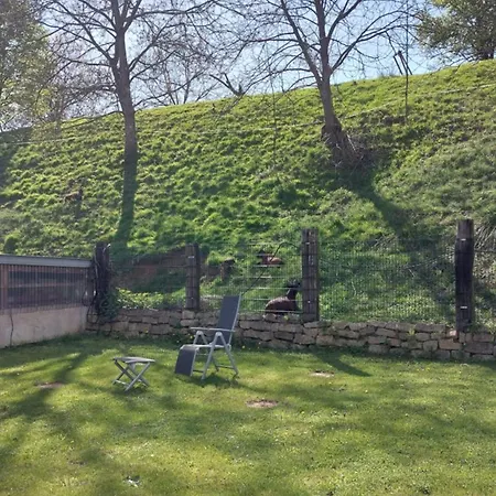 Helene Im Schoenen Odw Daire *