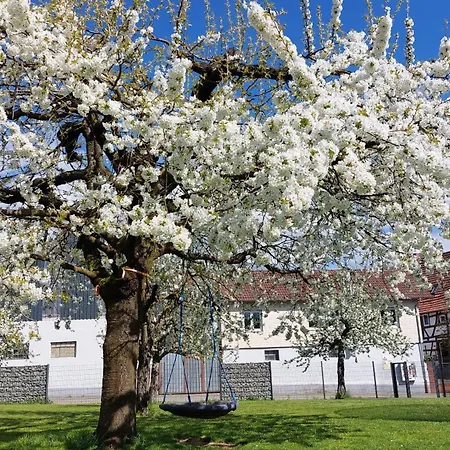 Helene Im Schoenen Odw