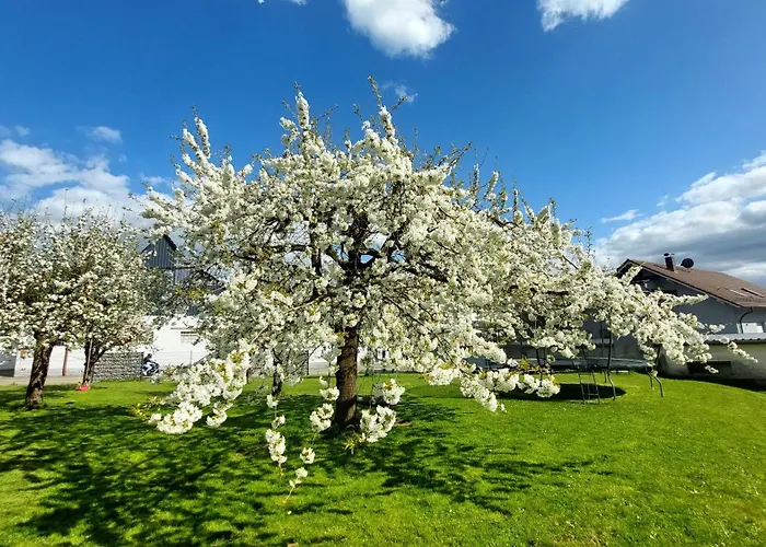 Helene Im Schoenen Odw *