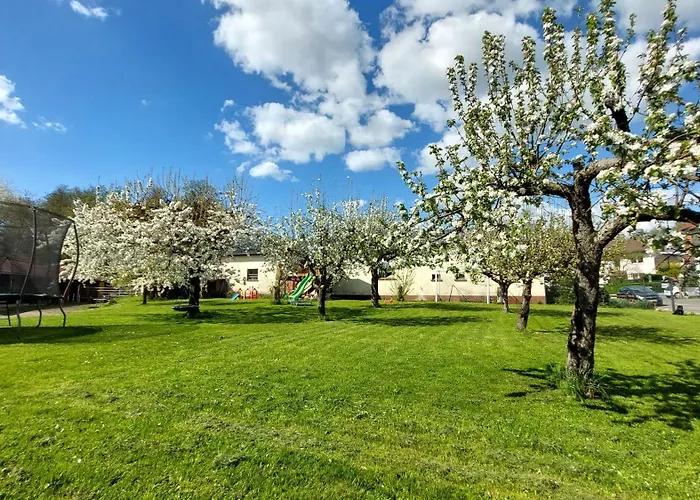 Helene Im Schoenen Odw
