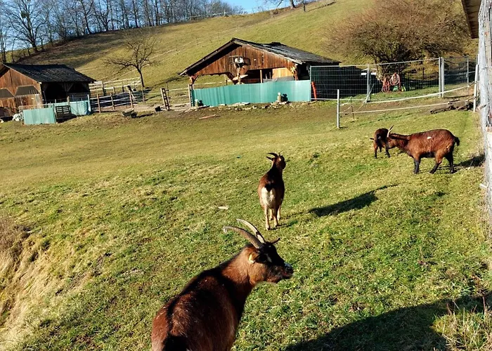 Helene Im Schoenen Odw *