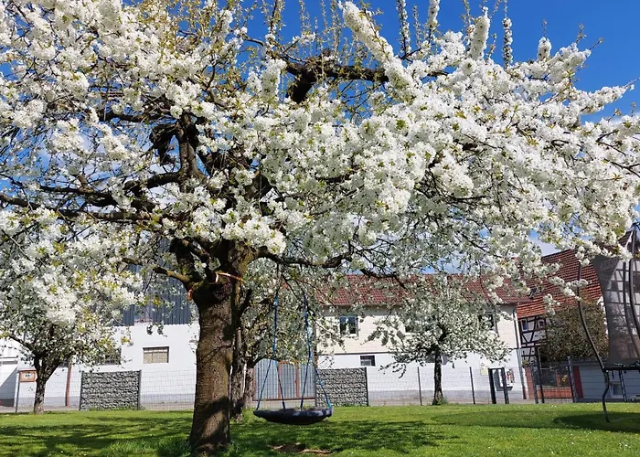 Helene Im Schoenen Odw